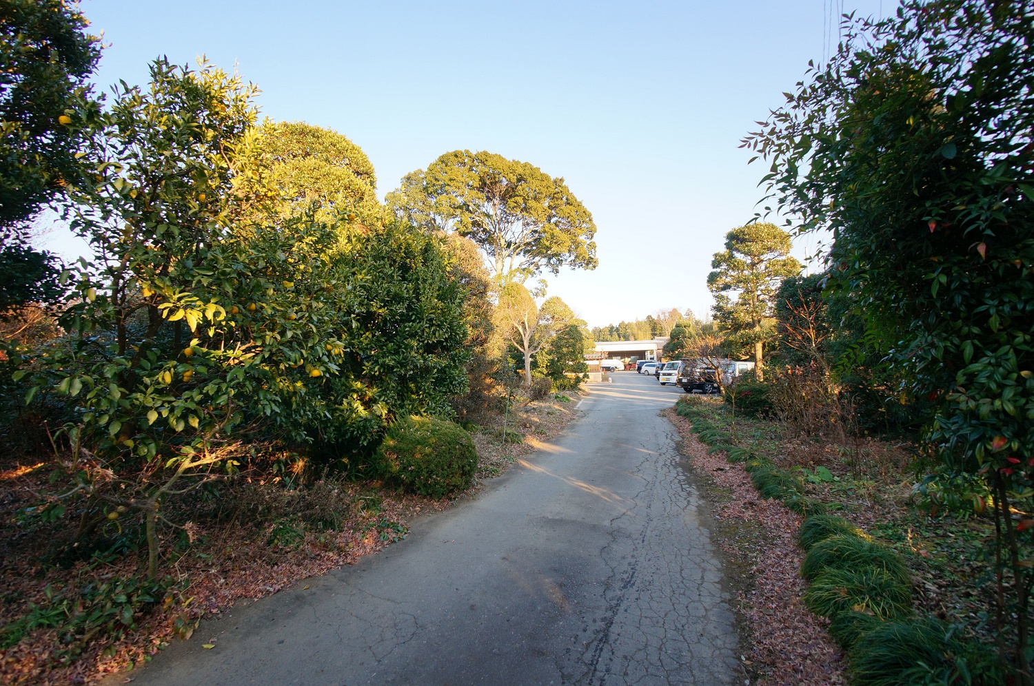 株式会社砂押園芸4