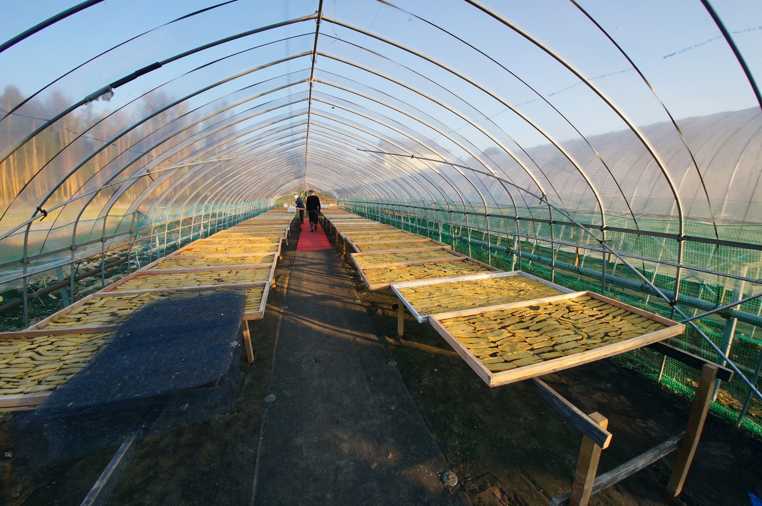 株式会社砂押園芸14