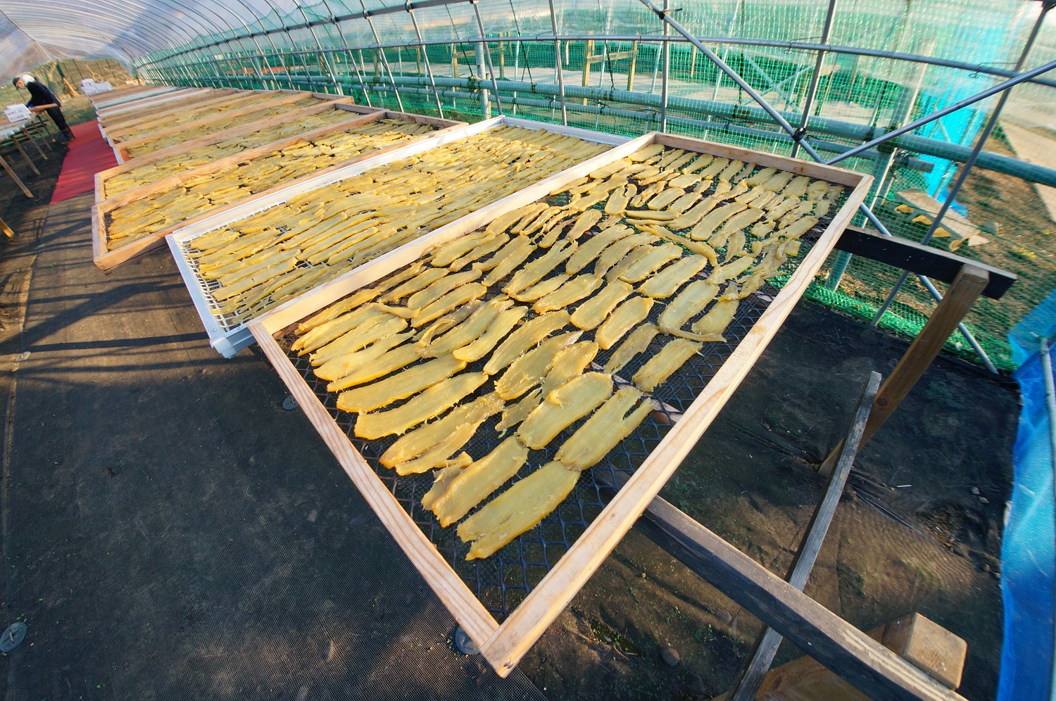 株式会社砂押園芸15