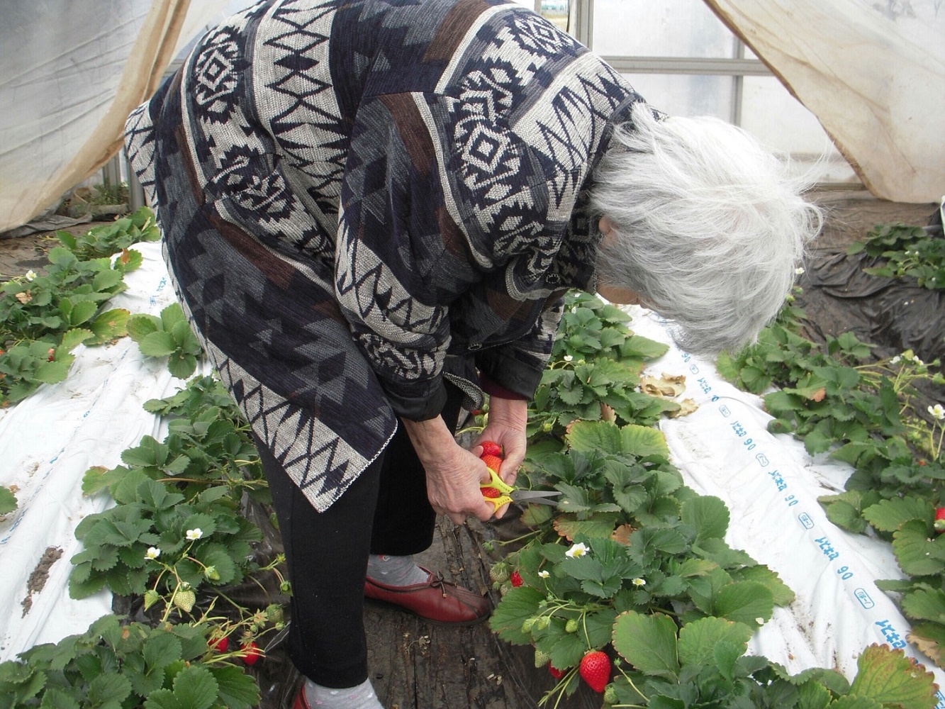 サービス1：デイサービスひかり（株式会社ライツ）